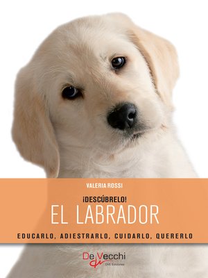 cover image of El labrador